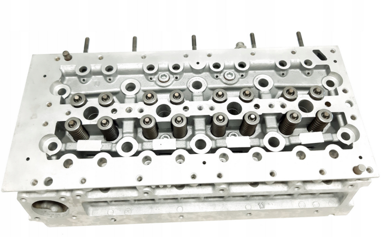 50229500 (3).png
