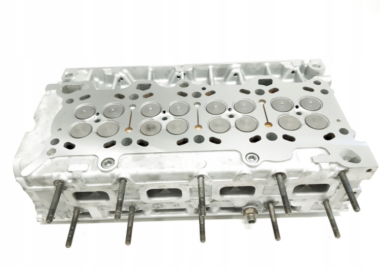 50229500 (6).png