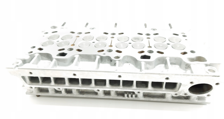 50229500 (9).png