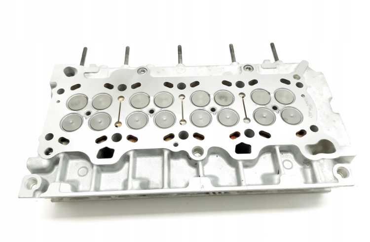 50229500 (1).png