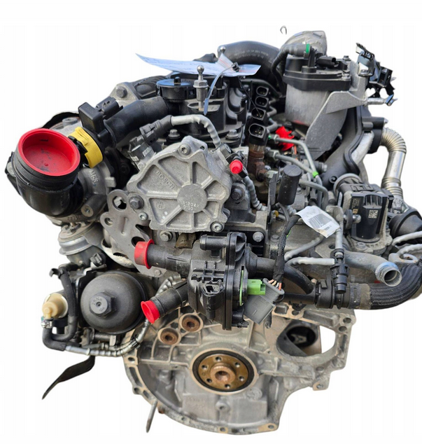 t3db (1).png