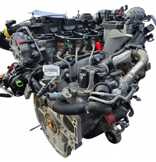 t3db (2).png
