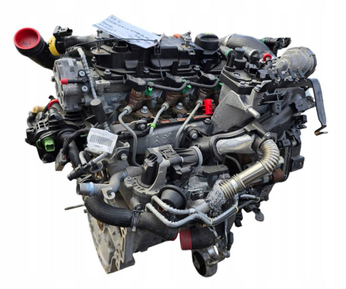 t3db (3).png