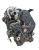 r3pa 1.png