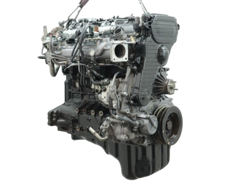 wlc (2).png