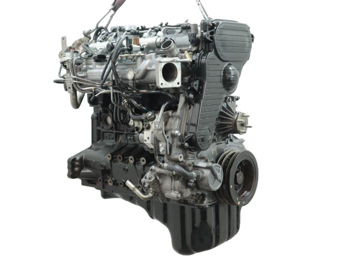 wlc (2).png