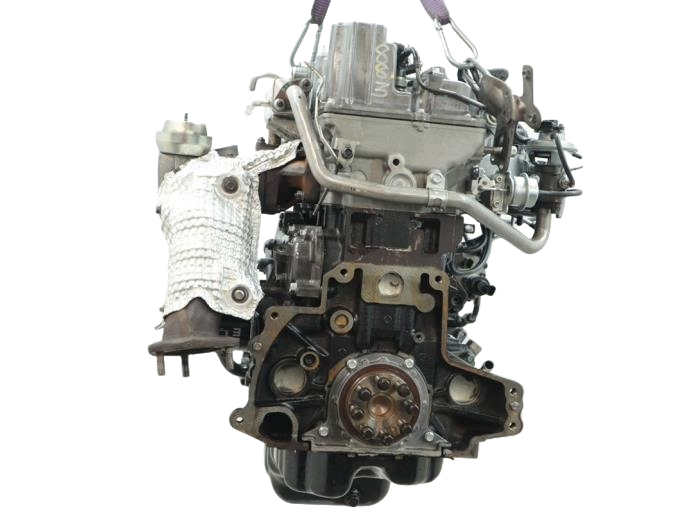 wlc (3).png