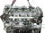 wlc (4).png