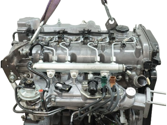 wlc (4).png