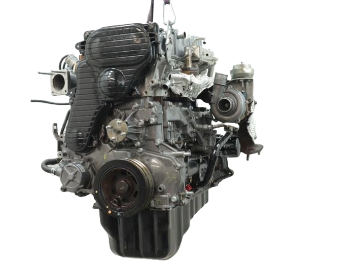 wlc (5).png