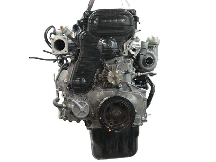 wlc (1).png