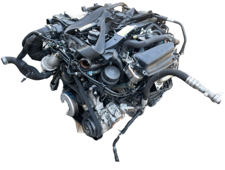 om651  (3).png