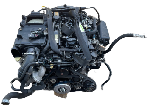 om651  (1).png