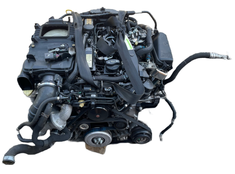 om651  (1).png