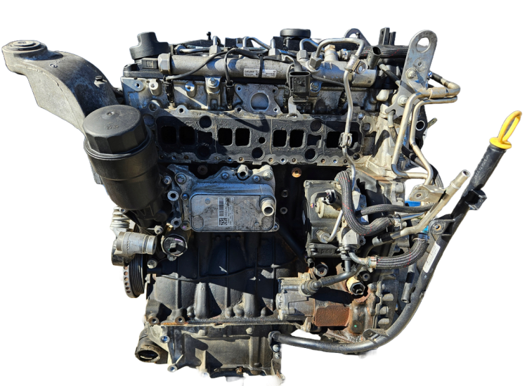 651.900 (6).png