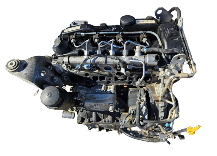 651.900 (7).png