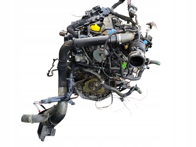r9m402 (2).jpg