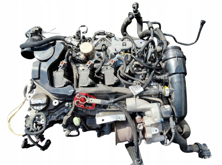 hns (4).png