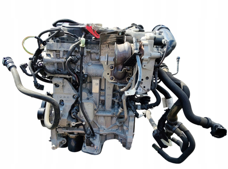 hns (6).png