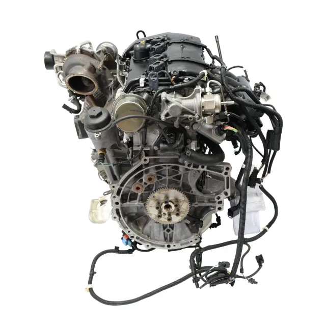 N13B16A (4).webp
