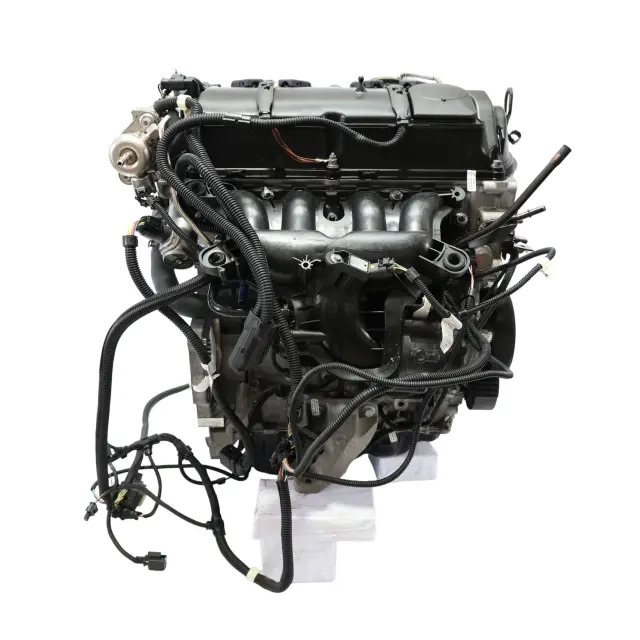 N13B16A (6).webp