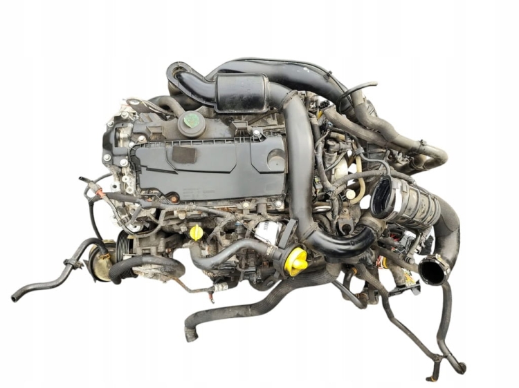 m9rf692 (5).jpg