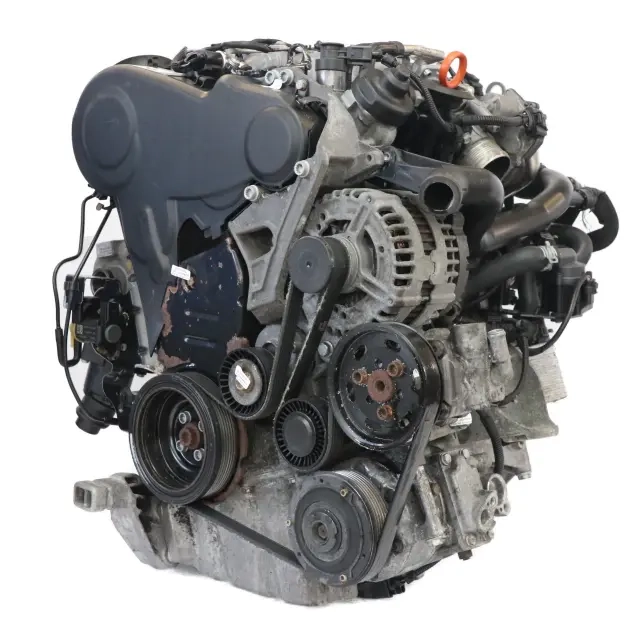 cag (4).webp