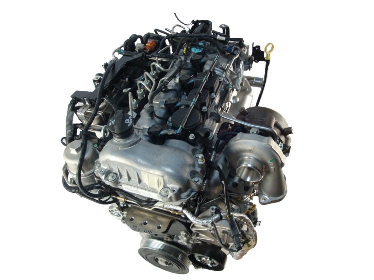 a22dm (3).jpg