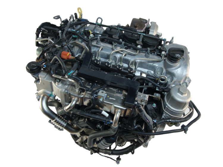 a22dm (1).jpg