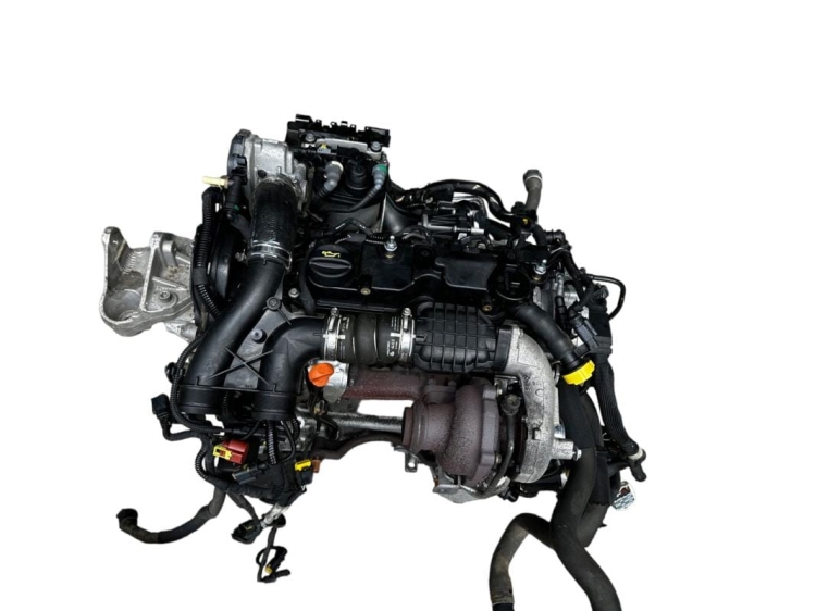 dv6fe (2).jpg
