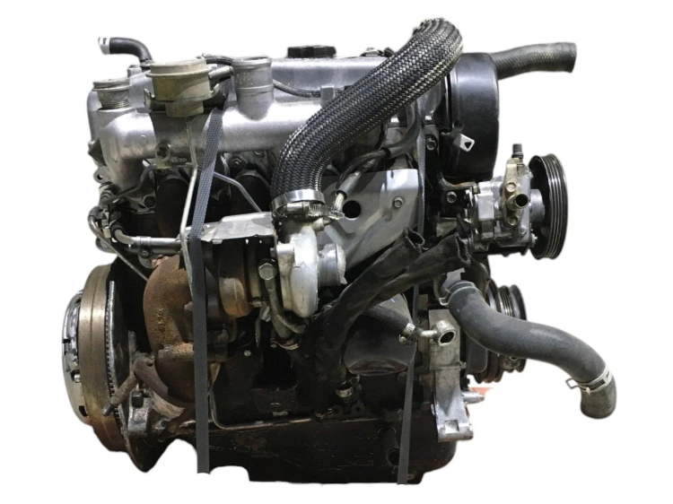 4d56t (2).jpg