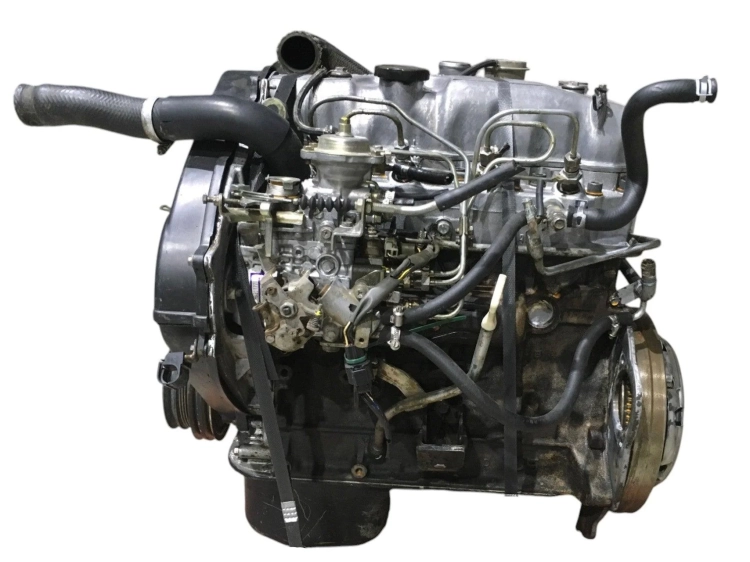 4d56t (3).jpg