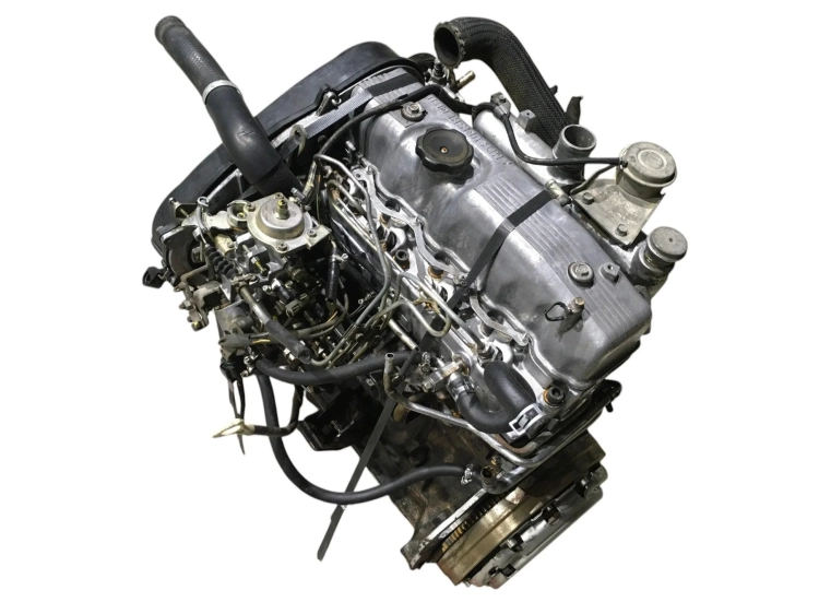 4d56t (6).jpg