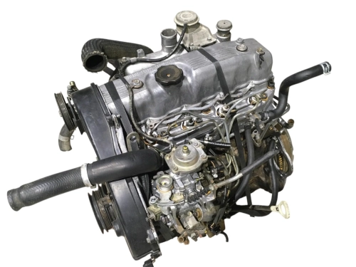 4d56t (1).jpg