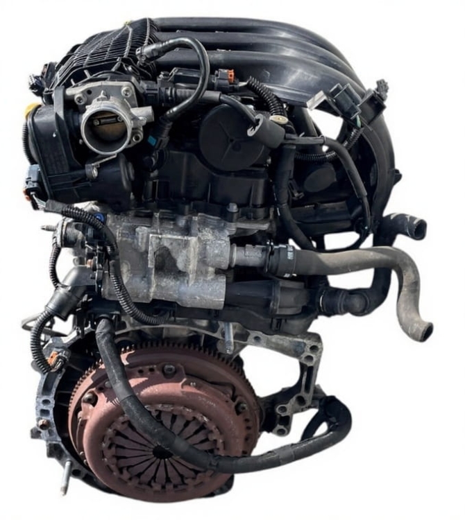 hmz (3).PNG