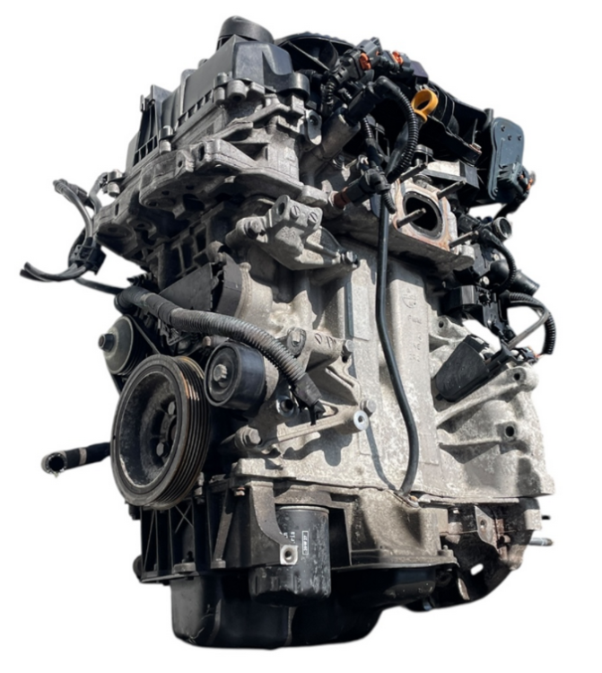 hmz (4).png