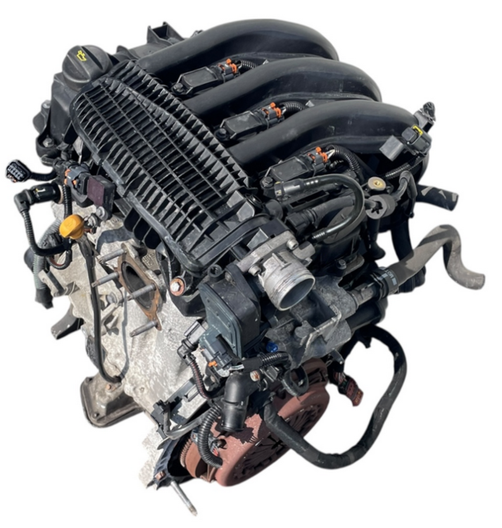 hmz (1).png