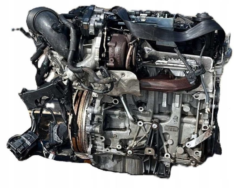 n47-3.jpg
