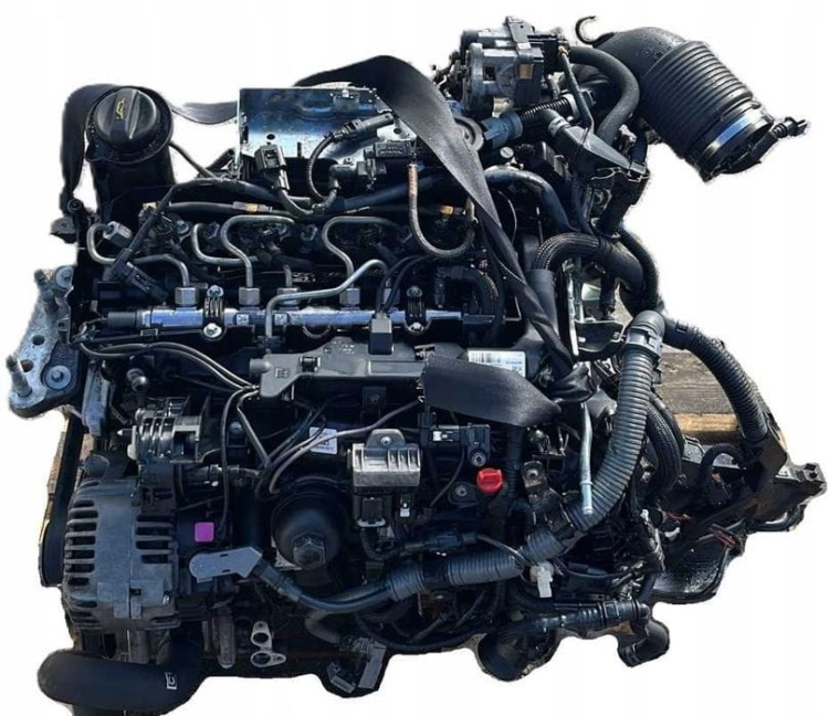 n47.jpg