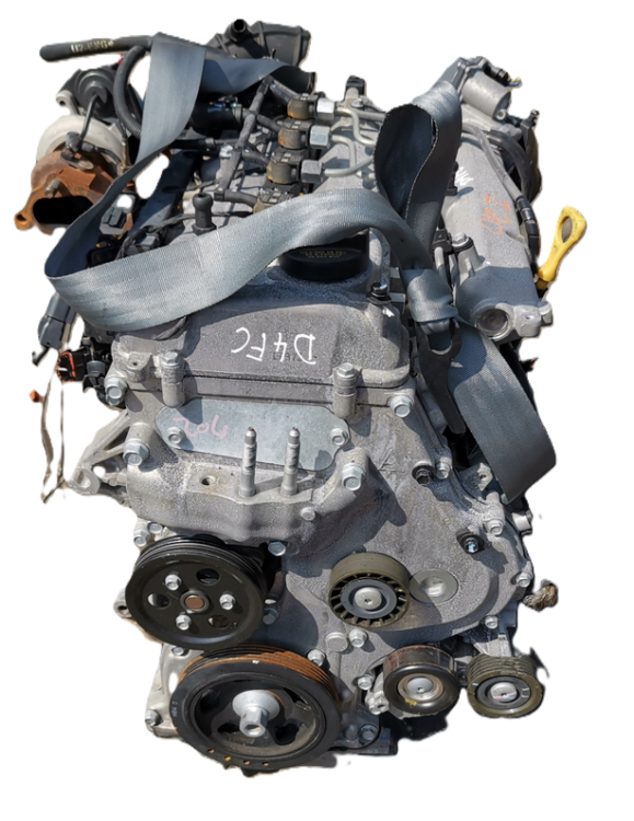 d4fc (5).png
