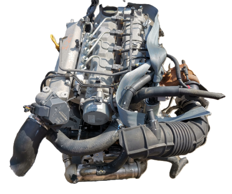d4fc (4).png
