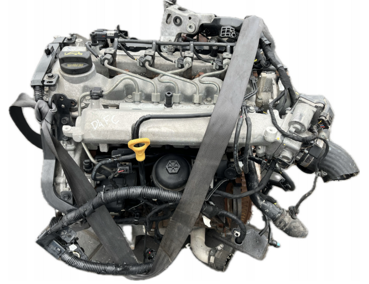 d4fc (2).png