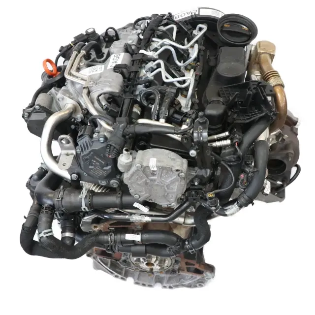 cag (2).webp