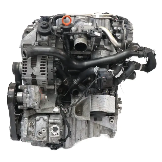 cag (3).webp