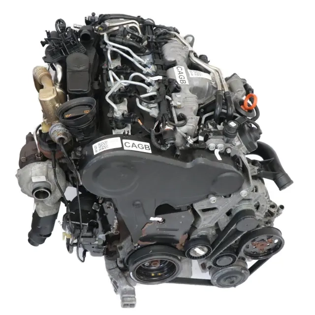 cag (5).webp