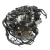 cnha 4.webp
