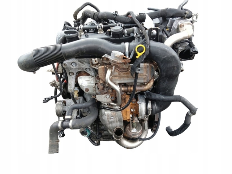 z17dtj (3).jpg