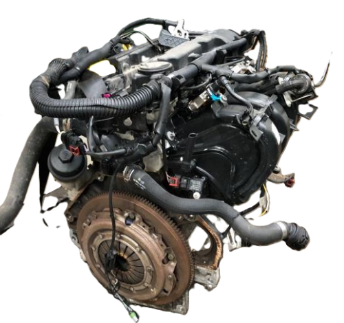 b14xel (4).png