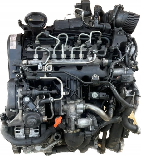 ceg (2).jpg