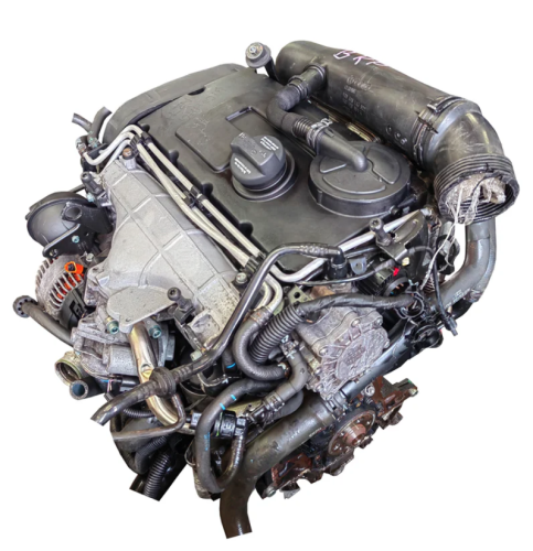 bkp (1).png